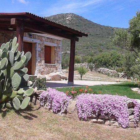 Stazzu Gallurese Villa Portisco Buitenkant foto