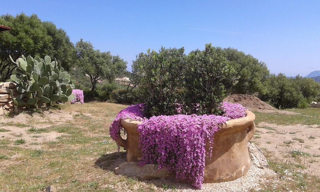 Stazzu Gallurese Villa Portisco Buitenkant foto